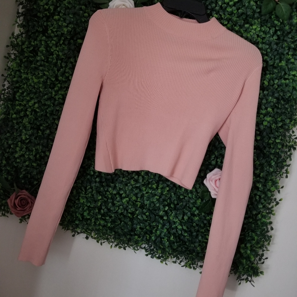 Rehab long sleeve crop top pink